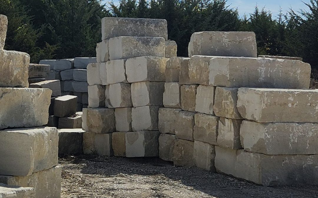 #704  18″ Cottonwood Split, Milled/Sawn, w/one sawn end