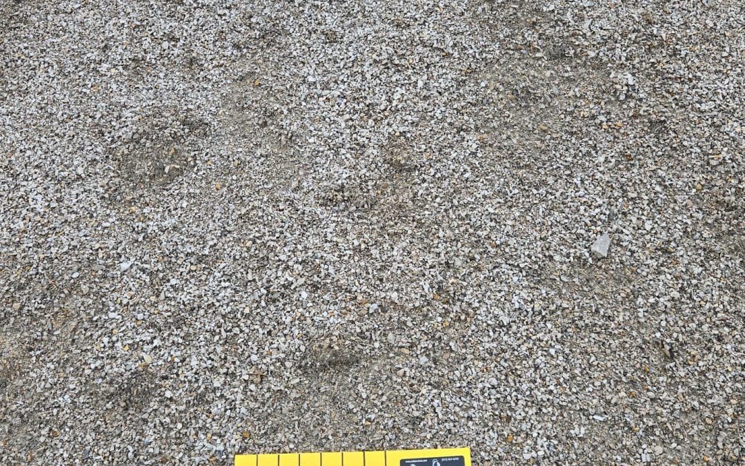 3/8″ minus limestone screenings / dust